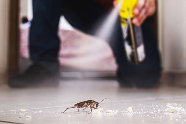 Best Commercial Pest Control Services  in Hillside Lake, NY